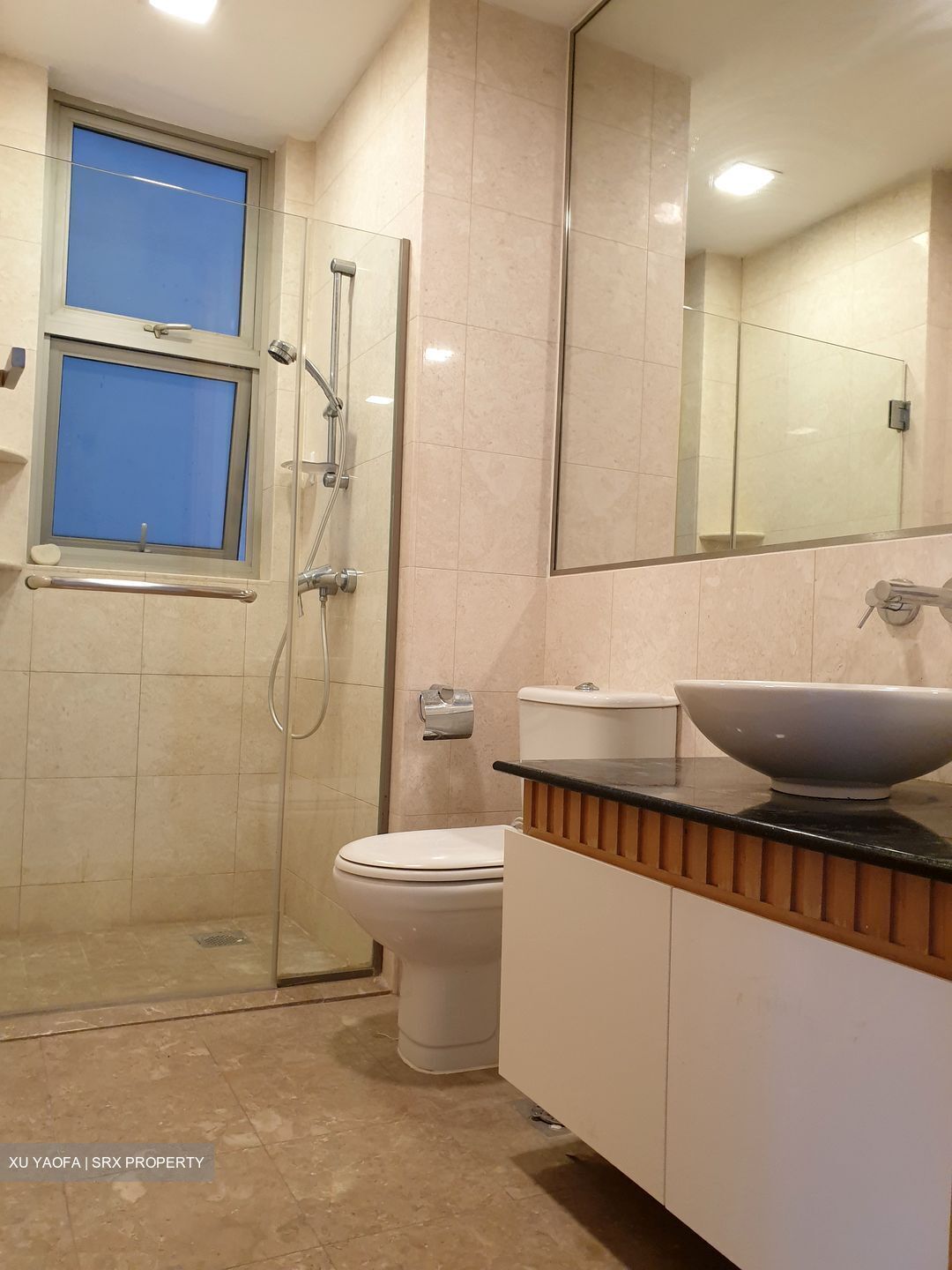 Cairnhill Crest (D9), Condominium #553666551